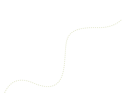 Line Shape